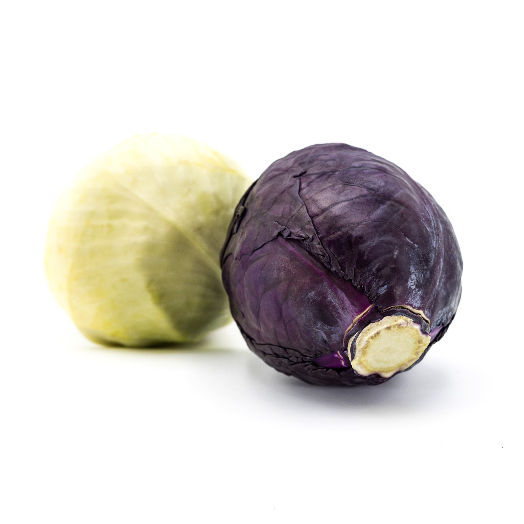 Cavolo bianco e nero - immagine 3
