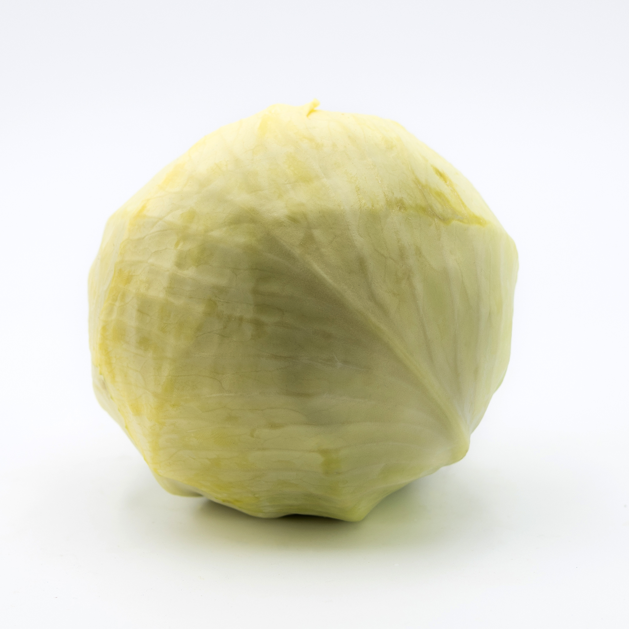 Cavolo bianco e nero - immagine 4