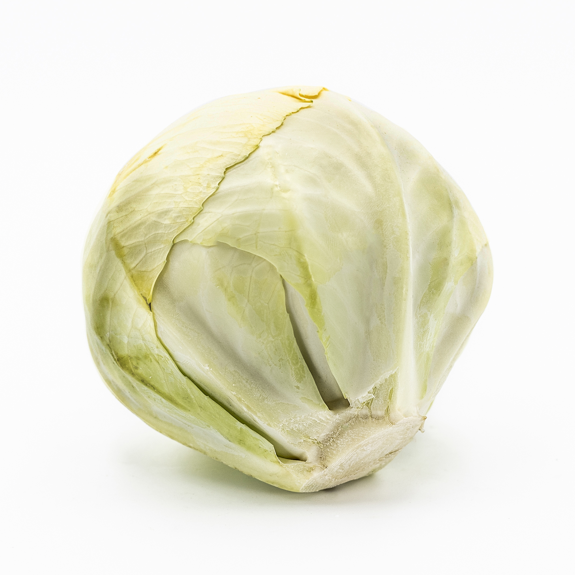 Cavolo bianco e nero - immagine 5