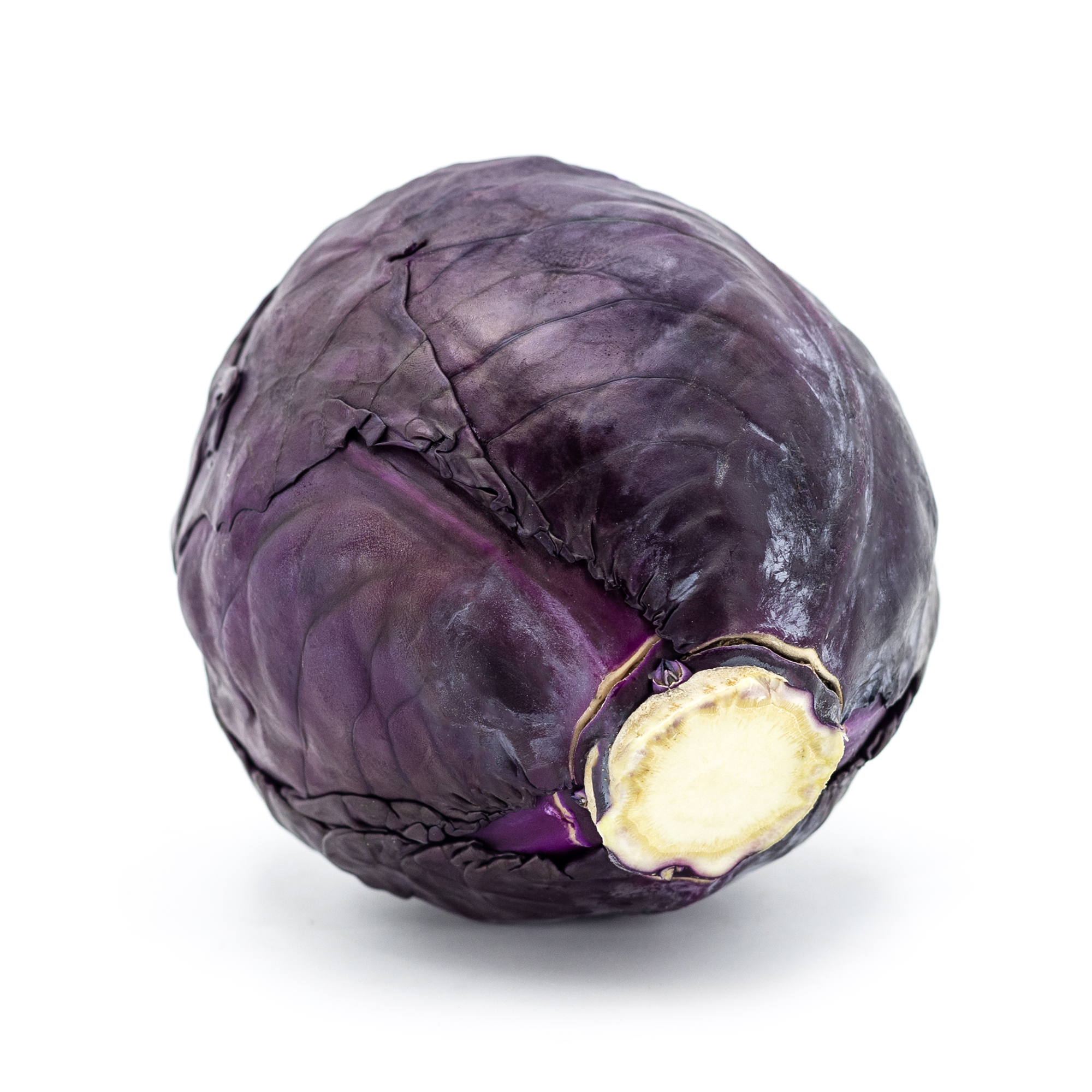 Cavolo bianco e nero - immagine 7