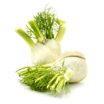 Finocchio