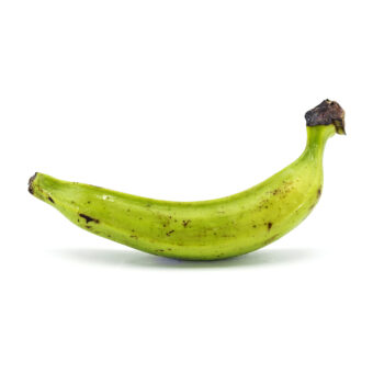 Platani