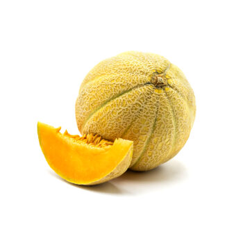 Melone retato