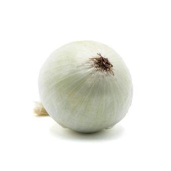 Cipolla bianca