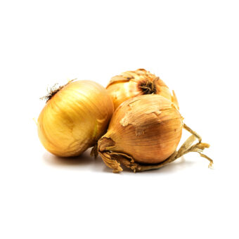 Cipolla oro