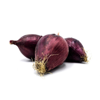 Cipolla rossa