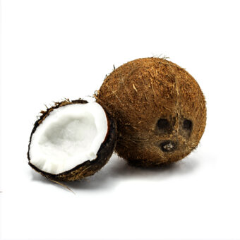 Cocco