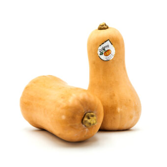 Zucca Butternut