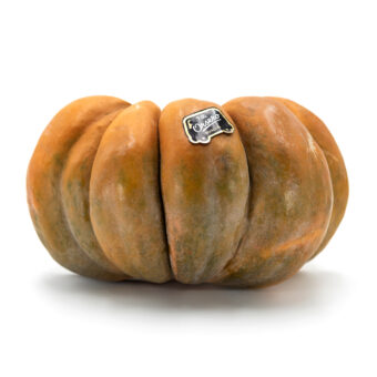 Zucca moscata